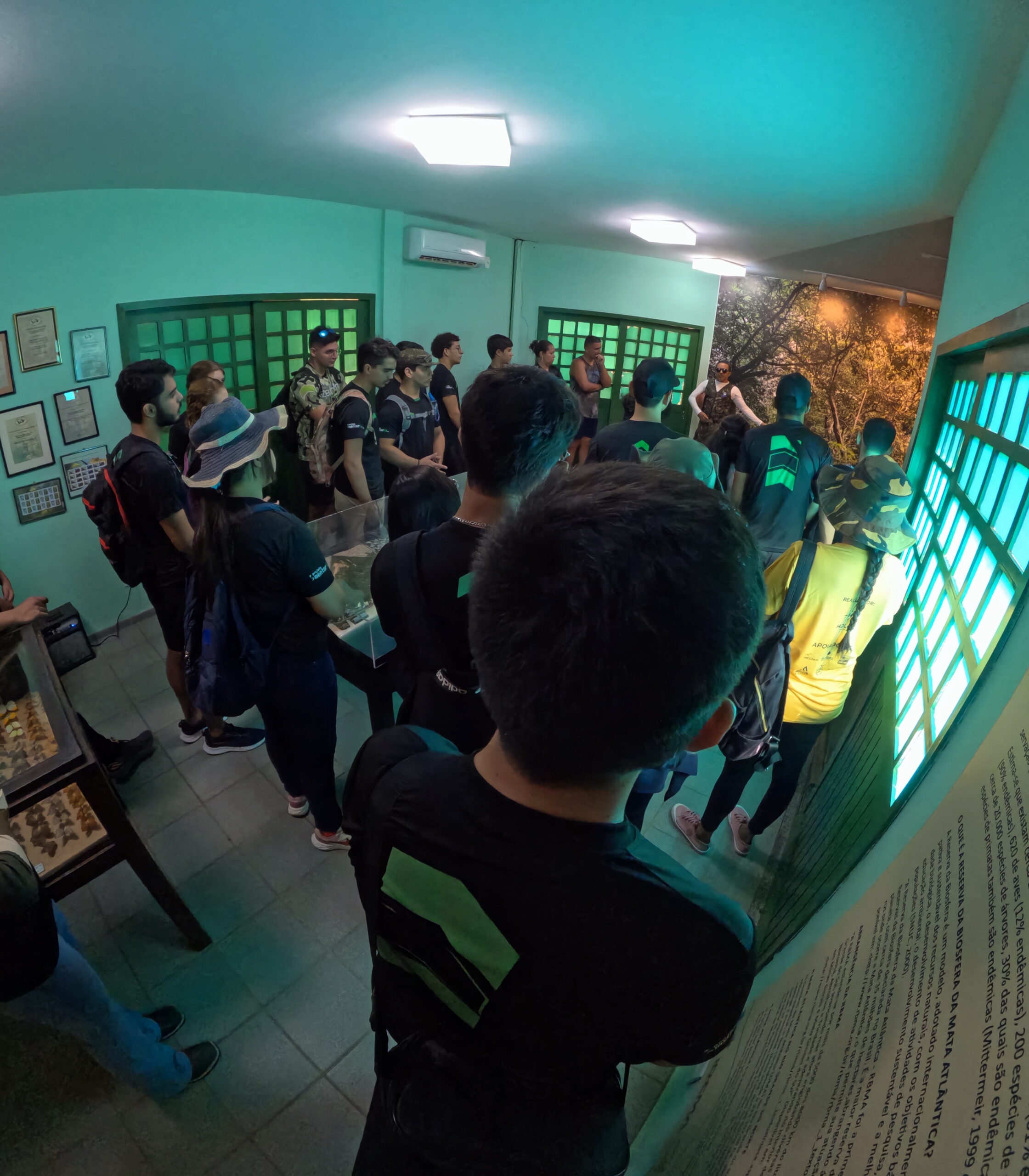 Trilha Mentoria 2026 - Imagem 2