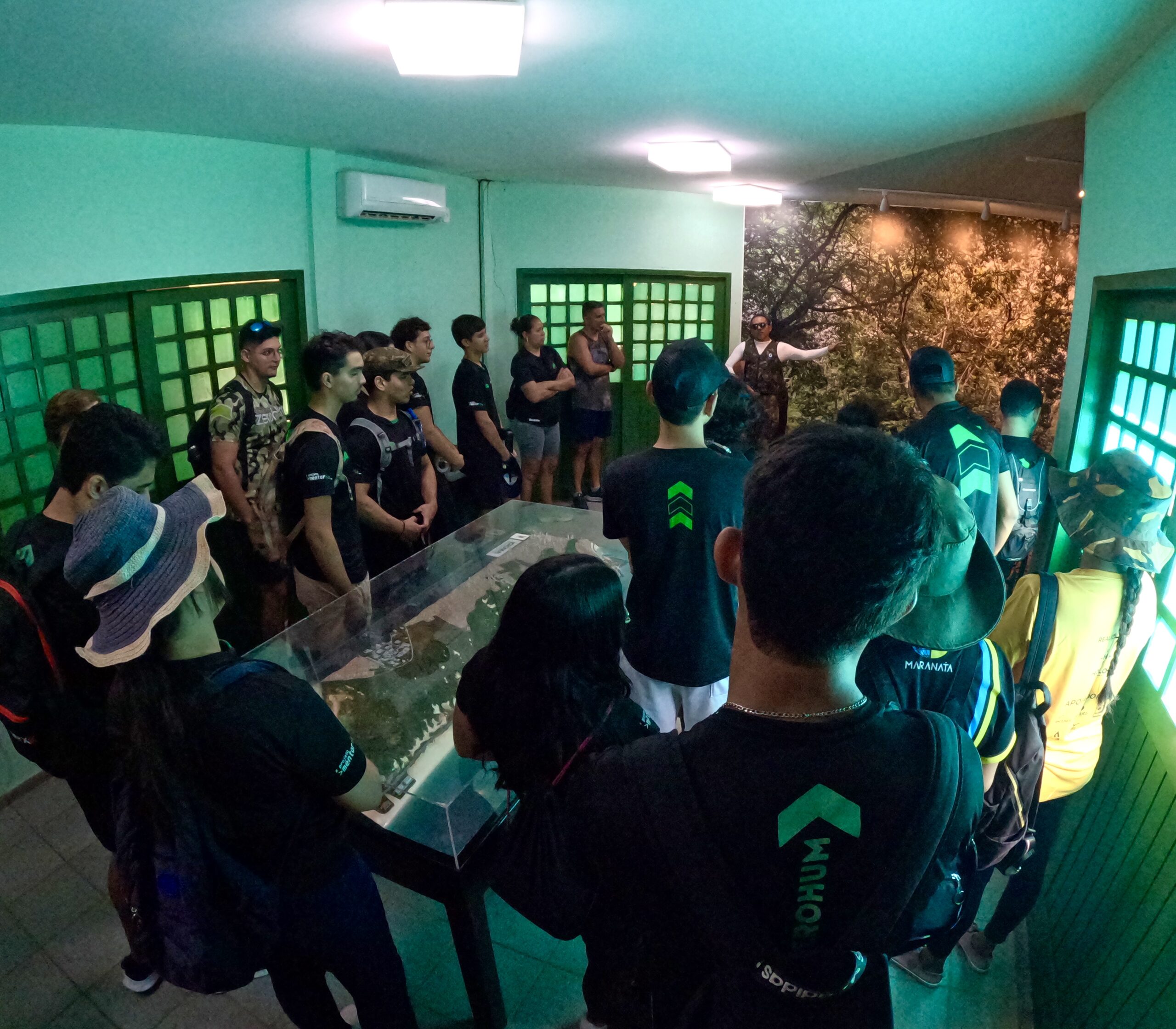 Trilha Mentoria 2026 - Imagem 10